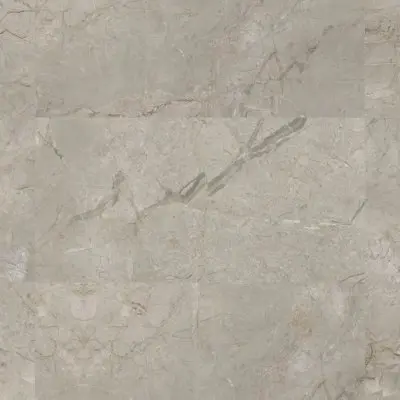 ELEMENTS LUX SILVER GREY 60x120 (24"x48")