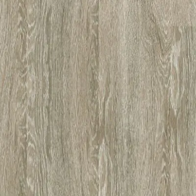 Steam Wood