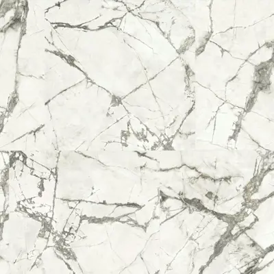 ANIMA EVER MAGNIFICENT WHITE