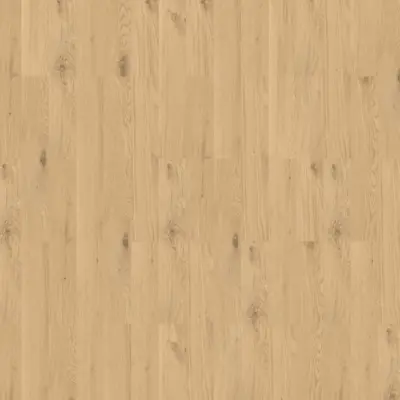IZUMI IZ02 CHIARO CLASSICO
