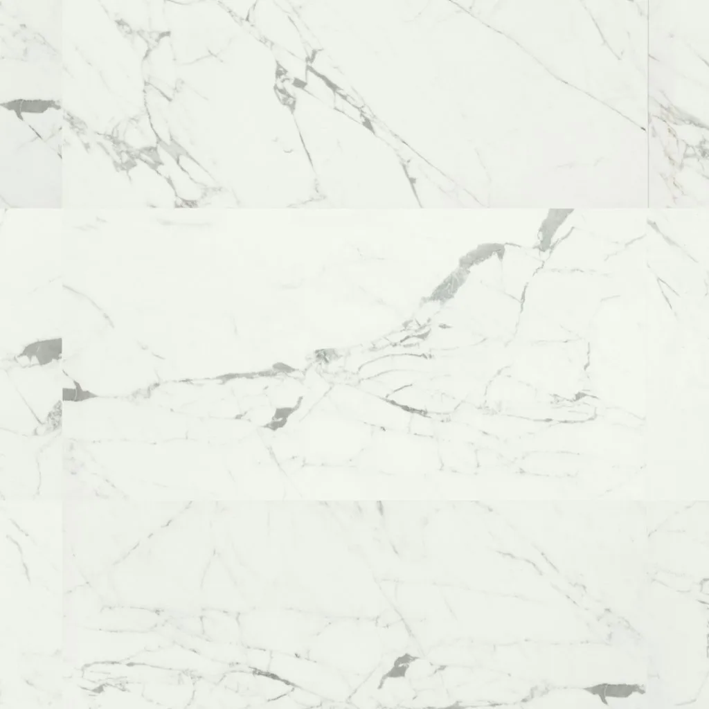 ANIMA STATUARIO VENATO