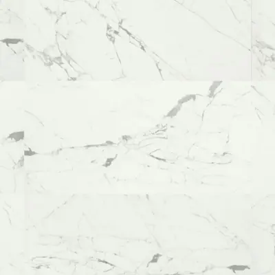 STATUARIO VENATO