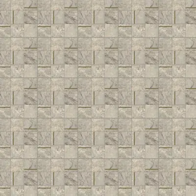 ANIMA FUTURA AMAZING SILVER