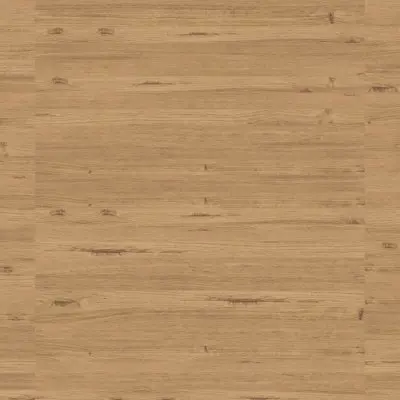 EVOKE SAND 6x120 (2.36"x48")