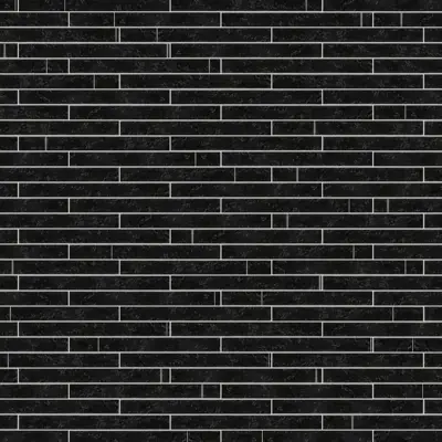 PUCK BLACK BRILLO 5x50