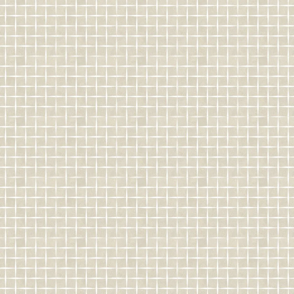 RECONCRETE RO01 RICE