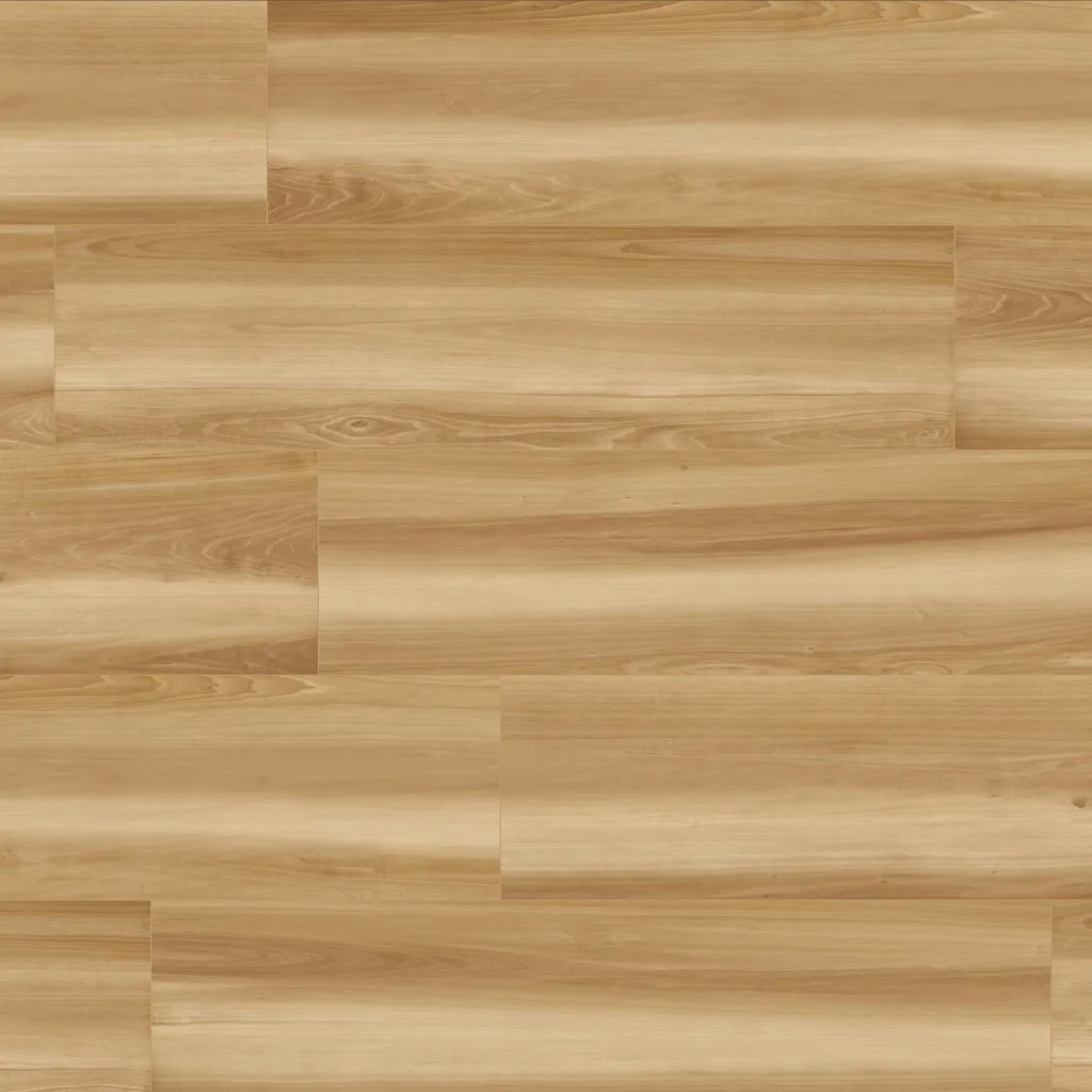 LIFE OAK