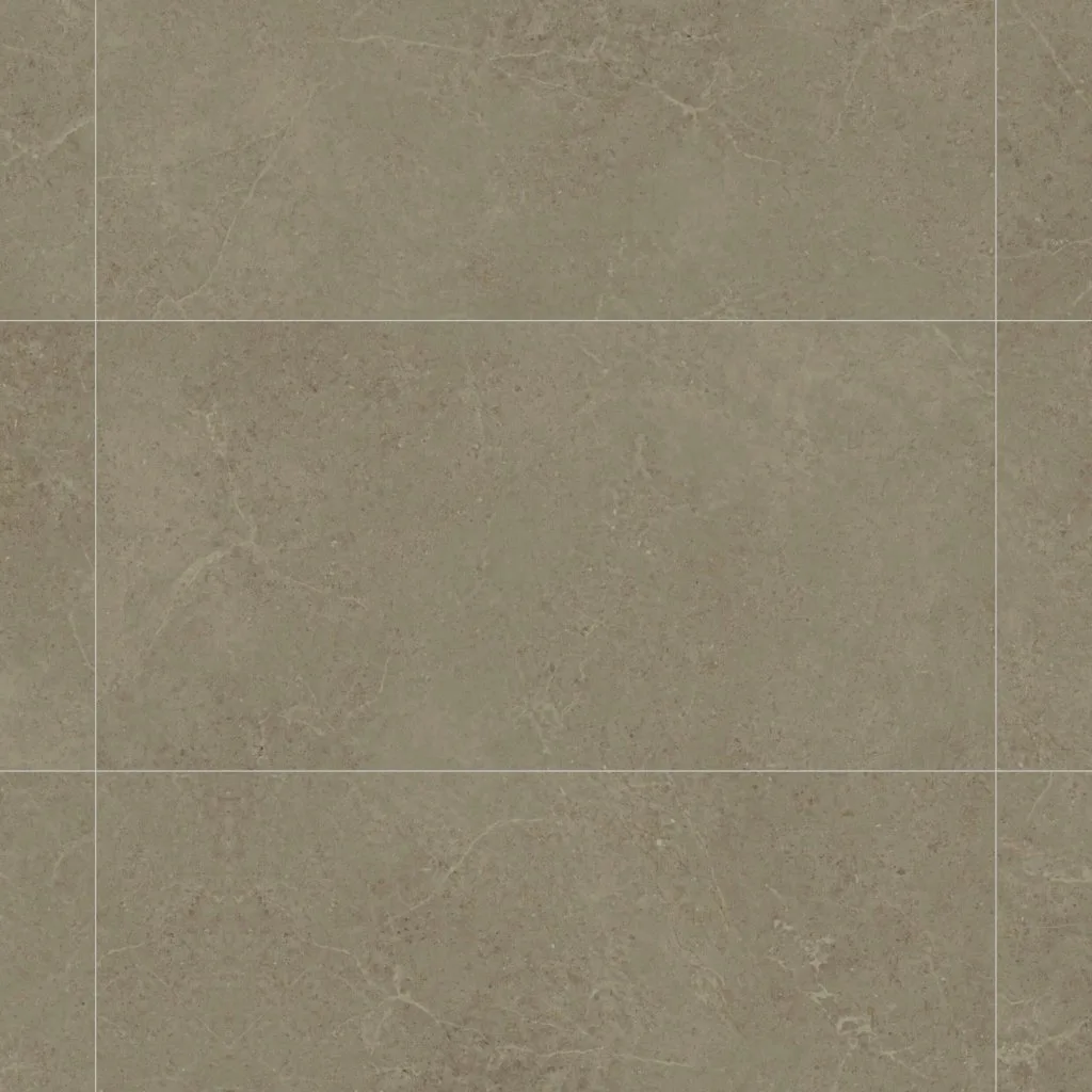 NORWICH TAUPE MATE 60x120 SL RC