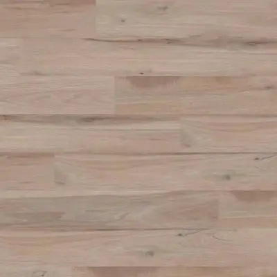 Avana