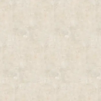 FIND IVORY