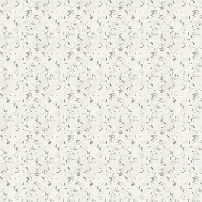 ANIMA EVER MAGNIFICENT WHITE