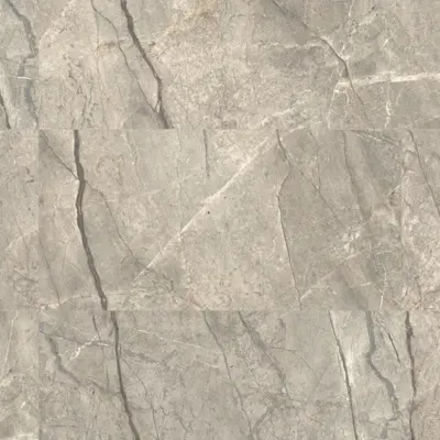 ANIMA FUTURA AMAZING SILVER