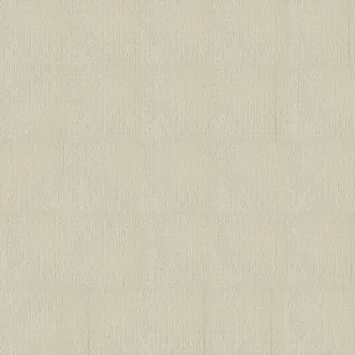NAGOMI NG02 SABI SAND