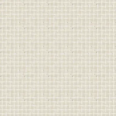 RECONCRETE RO01 RICE
