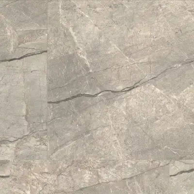 ANIMA FUTURA AMAZING SILVER
