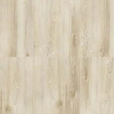 Bamboo