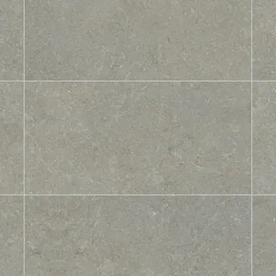 MYTOS GREIGE MATE 60x120 SL RC ANTISLIP
