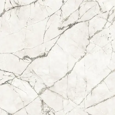 ANIMA EVER MAGNIFICENT WHITE