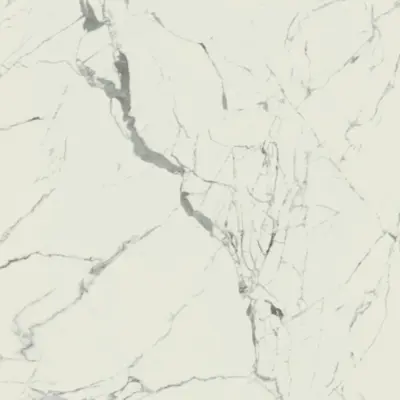 STATUARIO VENATO