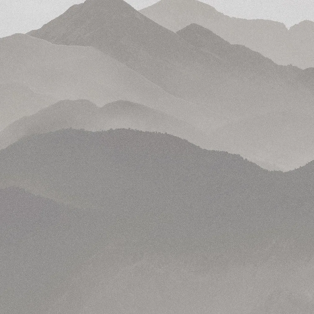 LANDSCAPE GREY