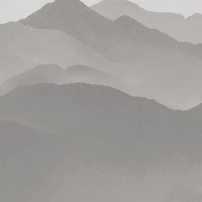 LANDSCAPE GREY