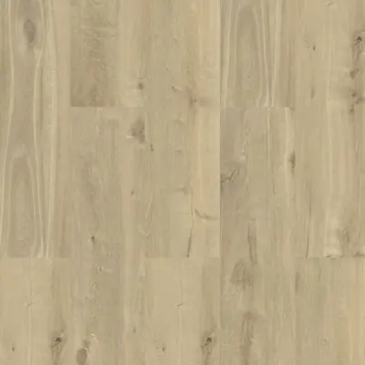 KAO KA02 HAZELNUT